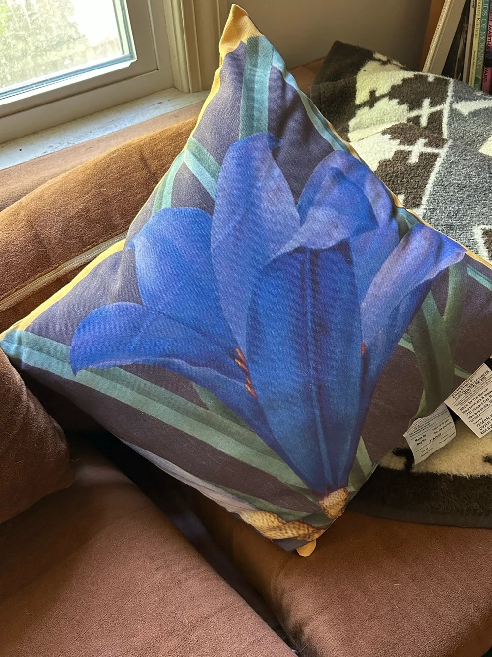 New Pottery Barn Tulip Bloom Throw Pillow